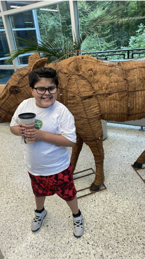 Child enjoying the zoo